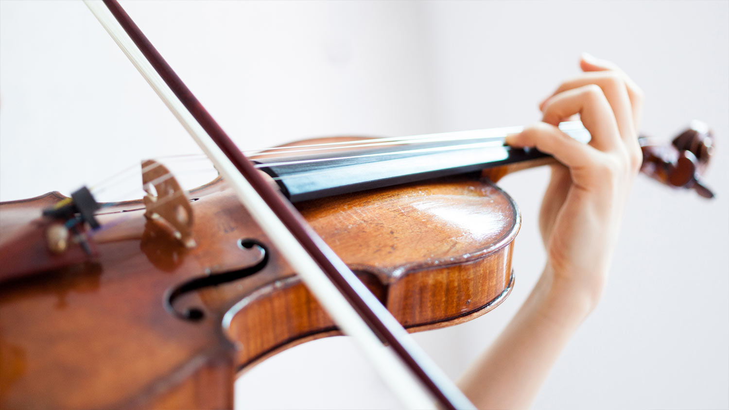 7 Notes Violin Adults